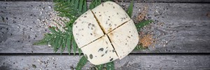 Lapsu Mājas juust kooritud kanepiseemnetega