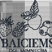 Ogu saimniecība Baiciems