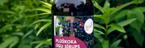 Šeivamedžio uogų sirupas