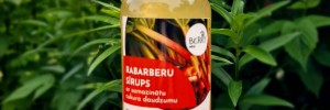 Rabarbarų sirupas