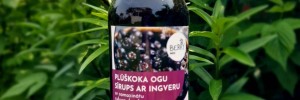 Šeivamedžio uogų sirupas su imbieru