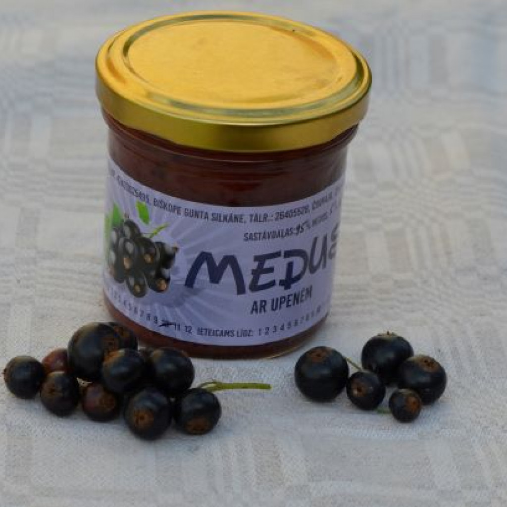Mesi mustsõstardega