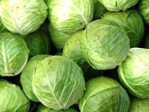 Cabbage